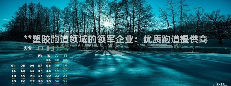 尊龙凯时 人生就是搏首页：**塑胶跑道领域的领军企业：优质跑道提供商
**