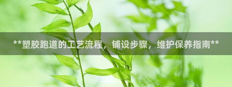 尊龙凯时请求参数不符合：**塑胶跑道的工艺流程，铺设步骤，维护保养指南**