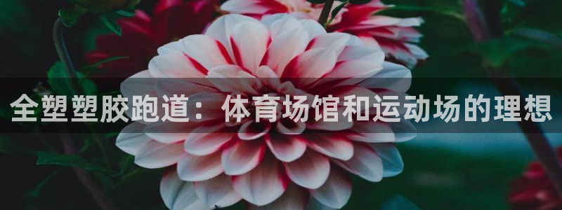 尊龙凯时百万奖池：全塑塑胶跑道：体育场馆和运动场的理想