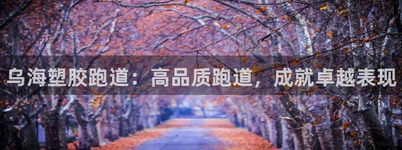尊龙z6.con：乌海塑胶跑道：高品质跑道，成就卓越表现