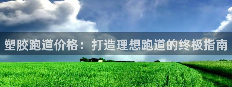 尊龙 10：塑胶跑道价格：打造理想跑道的终极指南