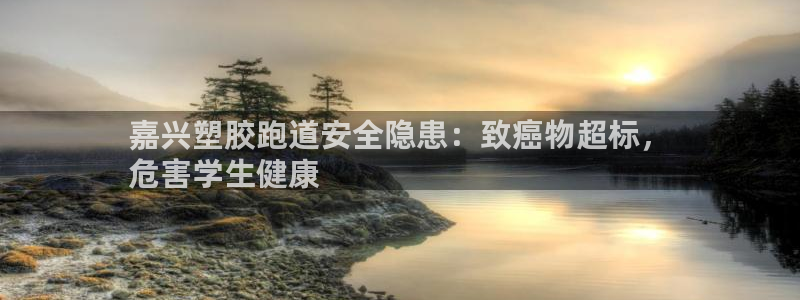尊龙凯时电竞注册：嘉兴塑胶跑道安全隐患：致癌物超标，
危害学生健康