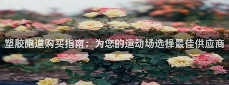 尊龙凯时官网平台：塑胶跑道购买指南：为您的运动场选择最佳供应商