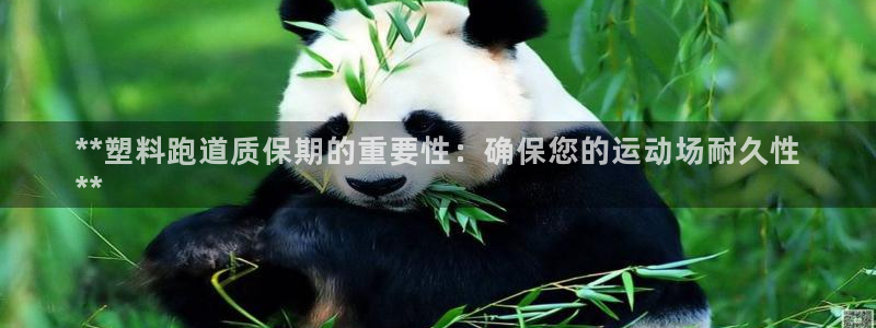 尊龙凯时导航菜单首页：**塑料跑道质保期的重要性：确保您的运动场耐久性
**