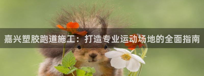 凯时尊龙官网网址：嘉兴塑胶跑道施工：打造专业运动场地的全面指南