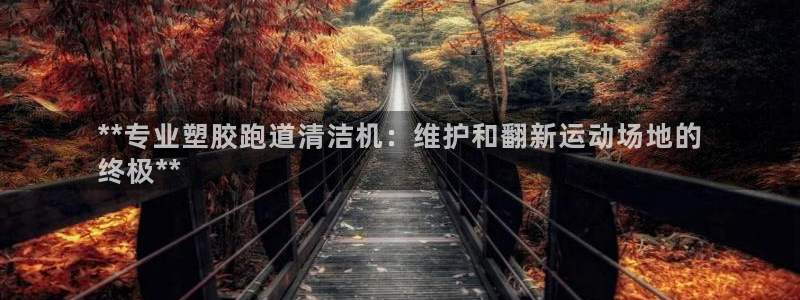 尊龙ag旗舰厅下载：**专业塑胶跑道清洁机：维护和翻新运动场地的
终极**
