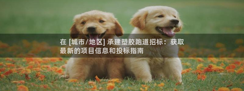 尊龙官网/首选kpm：在 [城市/地区] 承建塑胶跑道招标：获取
最新的项目信息和投标指南