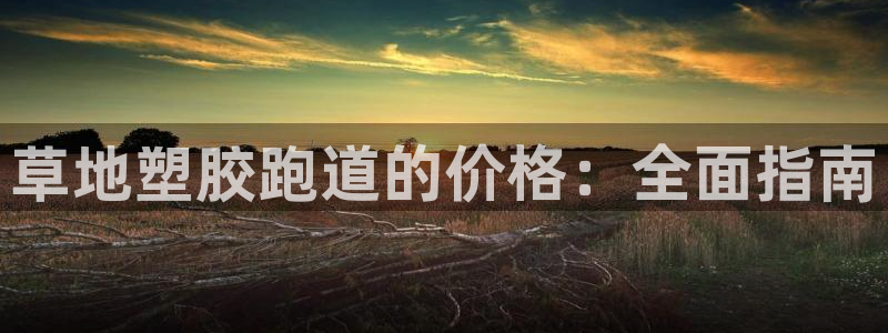 尊龙凯时 人生就是搏：草地塑胶跑道的价格：全面指南