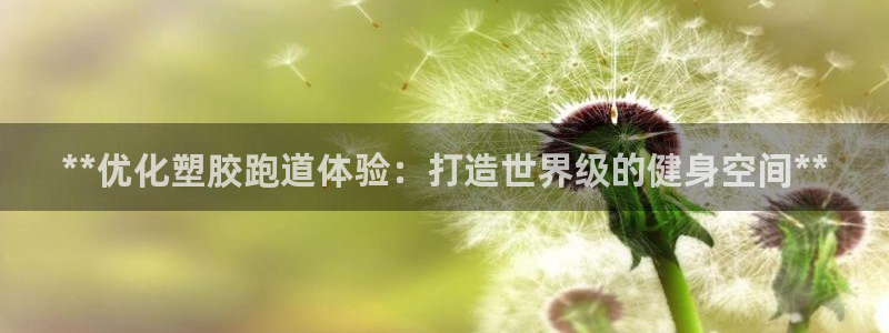 尊龙物流怎么样：**优化塑胶跑道体验：打造世界级的健身空间**