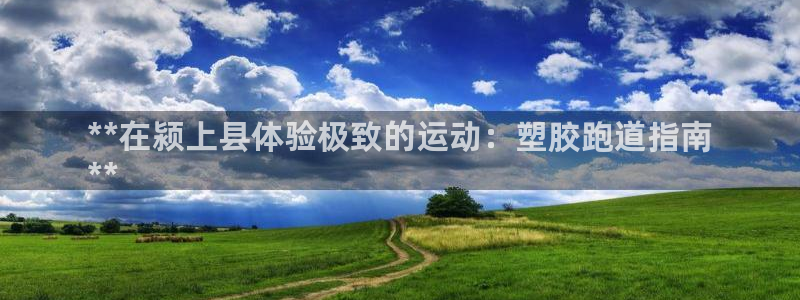 尊龙凯时新闻：**在颍上县体验极致的运动：塑胶跑道指南
**