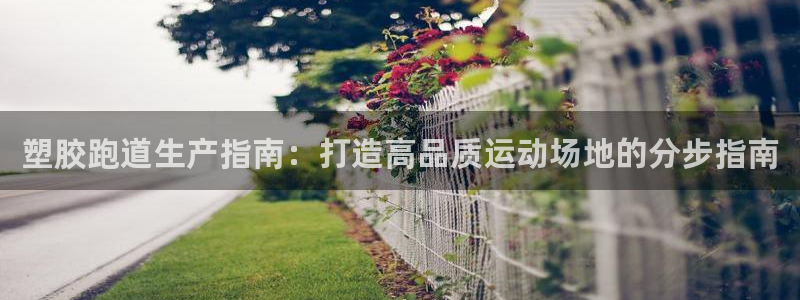 尊龙凯时法拉币：塑胶跑道生产指南：打造高品质运动场地