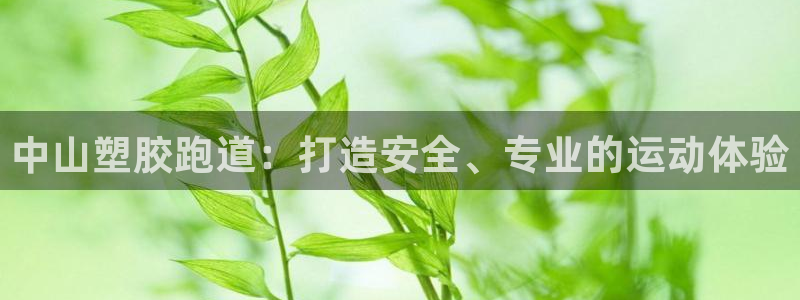 尊龙-人生就是博：中山塑胶跑道：打造安全、专业的运动体验