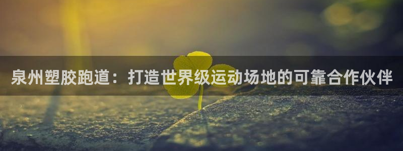尊龙集团有限公司：泉州塑胶跑道：打造世界级运动场地的可靠合作伙伴