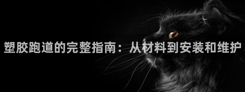 尊龙凯时怎么注销账号：塑胶跑道的完整指南：从材料到安装和维护