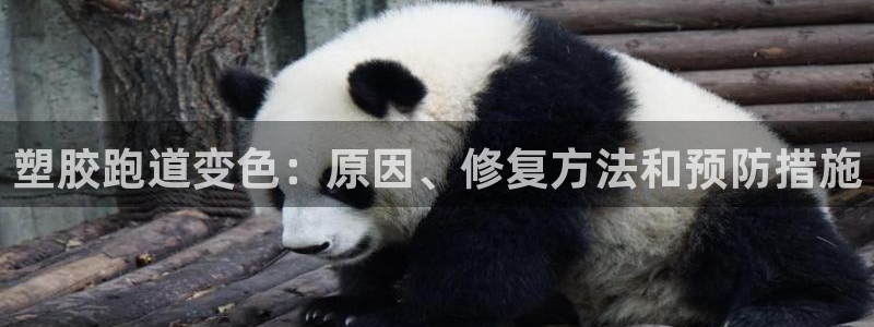 尊龙凯时怎么注销账号：塑胶跑道变色：原因、修复方法和预防措施
