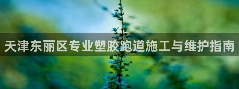 尊龙d88官网确来就送38：天津东丽区专业塑胶跑道施