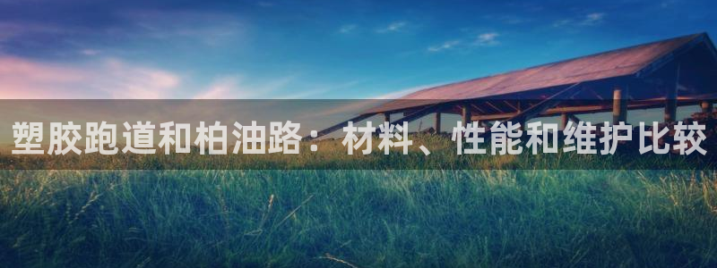 尊龙凯时 人生就是搏客服：塑胶跑道和柏油路：材料、性能和维护比较