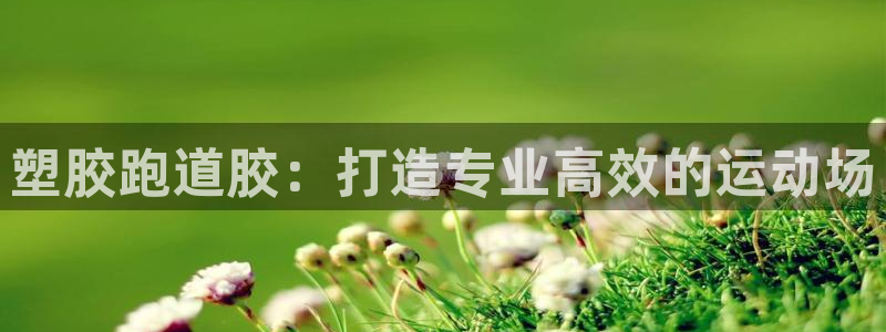尊龙最近一次露面：塑胶跑道胶：打造专业高效的运动场