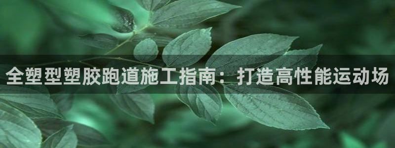 尊龙凯时是大平台吗：全塑型塑胶跑道施工指南：打造高性能运动场