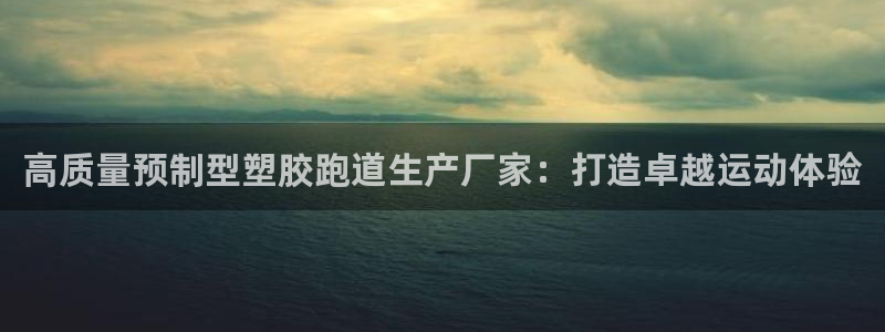 AG尊龙凯时注册：高质量预制型塑胶跑道生产厂家：打造卓越运动体验