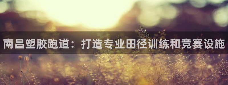 尊龙凯时新闻：南昌塑胶跑道：打造专业田径训练和竞赛设