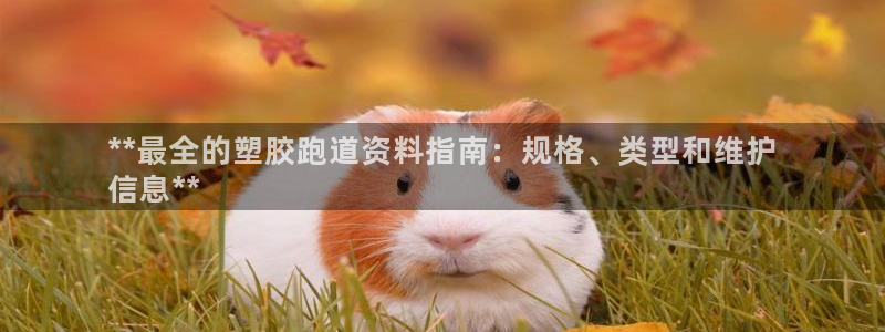 尊龙官方平台：**最全的塑胶跑道资料指南：规格、类型和维护
信息**