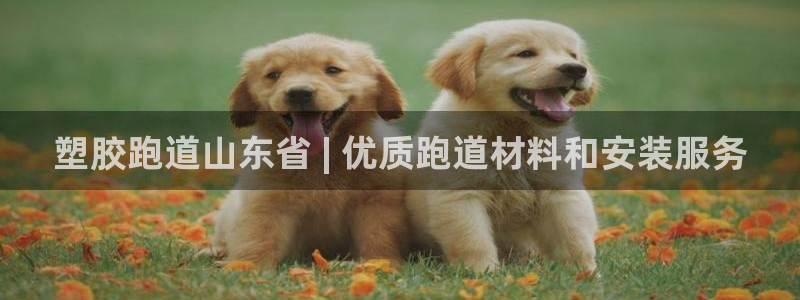 凯时首页地址：塑胶跑道山东省 | 优质跑道材料和安装