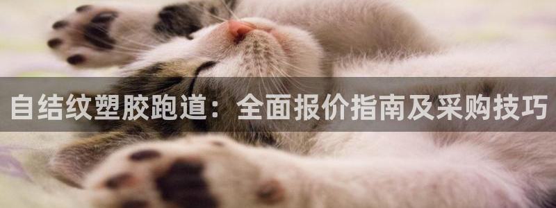 尊龙旗舰厅app：自结纹塑胶跑道：全面报价指南及采购