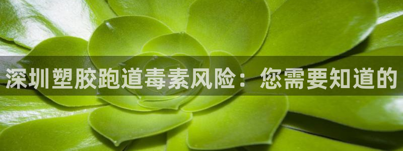 尊龙娱官网赢来就送38：深圳塑胶跑道毒素风险：您需要知道的