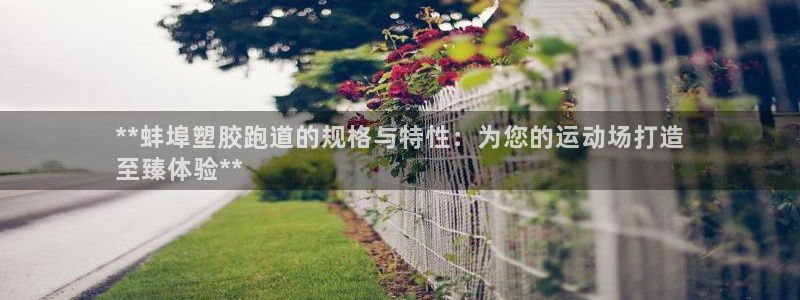 尊龙凯时平台正规吗：**蚌埠塑胶跑道的规格与特性：为
