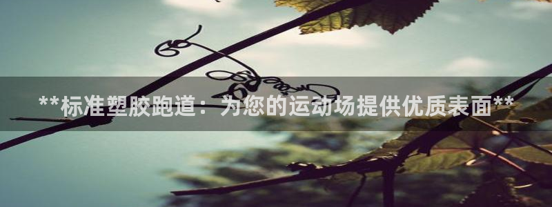 尊龙app下载官网：**标准塑胶跑道：为您的运动场提供优质表面**