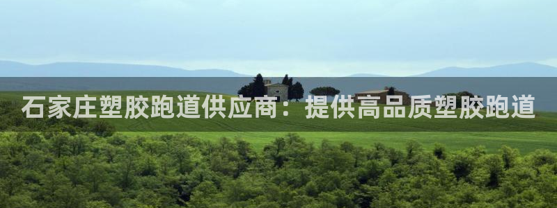 尊龙在线登录官网：石家庄塑胶跑道供应商：提供高品质塑胶跑道
