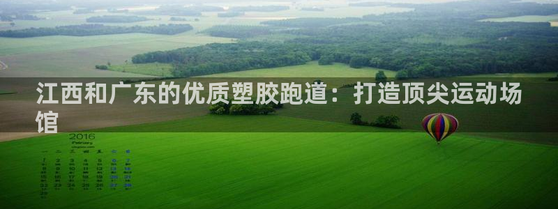 下载尊龙：江西和广东的优质塑胶跑道：打造顶尖运动场
