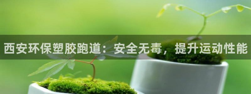 尊龙旗舰app：西安环保塑胶跑道：安全无毒，提升运动性能