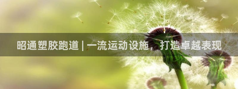 凯时kb88·中国官方网站：昭通塑胶跑道 | 一流运动设施，打造卓越表现