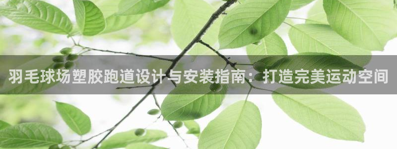 尊龙人生就是博手机版下载：羽毛球场塑胶跑道设计与安装