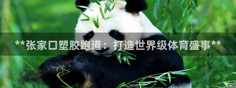 尊龙人生就是博首页：**张家口塑胶跑道：打造世界级体育盛事**