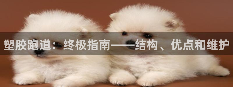 凯时登录界面：塑胶跑道：终极指南——结构、优点和维护