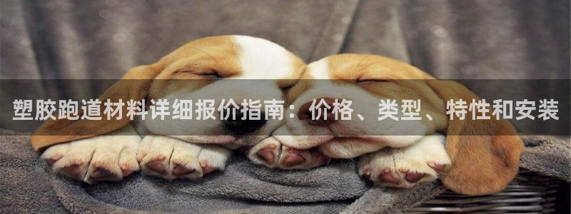 尊龙人生就是博i可靠吗：塑胶跑道材料详细报价指南：价格、类型、特性和安装