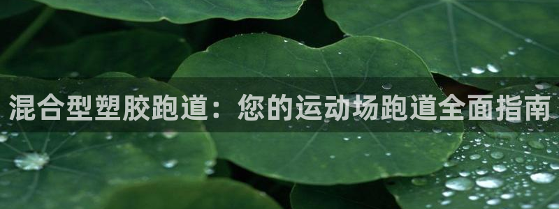 凯时a88：混合型塑胶跑道：您的运动场跑道全面指南