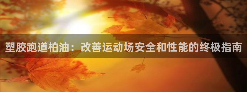 z6尊龙官网：塑胶跑道柏油：改善运动场安全和性能的终极指南