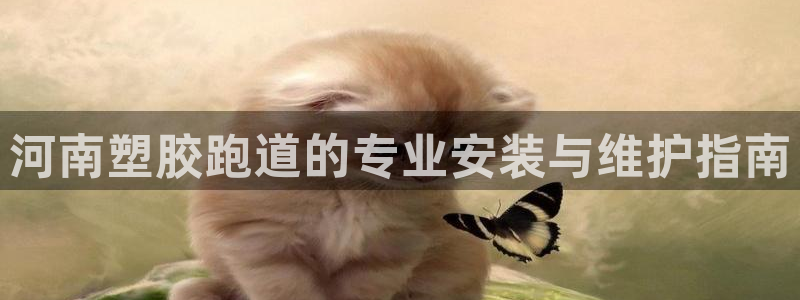 尊龙d88现金旧版本：河南塑胶跑道的专业安装与维护指南