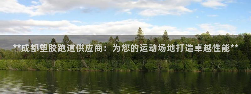 尊龙凯时官方网站：**成都塑胶跑道供应商：为您的运动场地打造卓越性能**