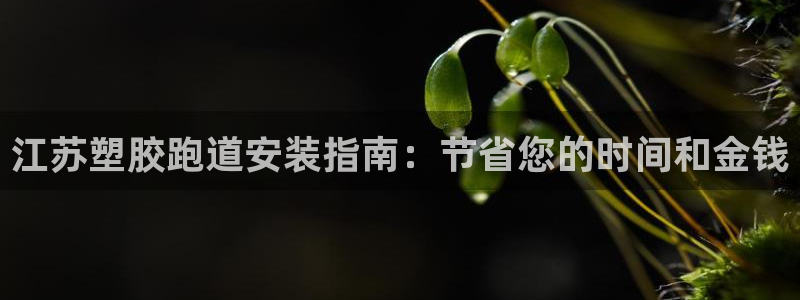 z6尊龙z6：江苏塑胶跑道安装指南：节省您的时间和金钱