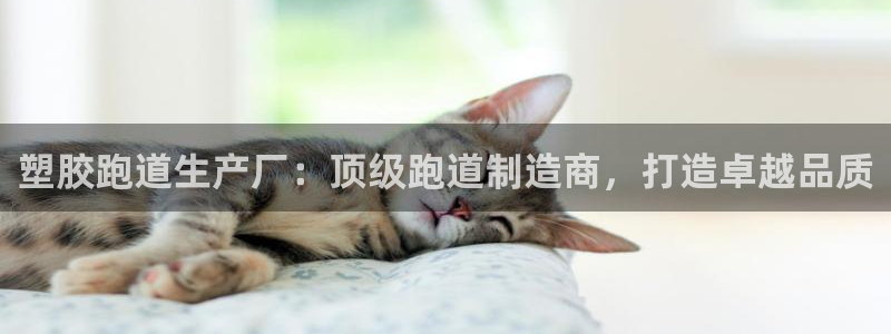 尊龙实业 吴友良：塑胶跑道生产厂：顶级跑道制造商，打