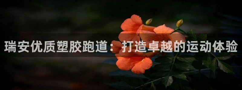 尊龙中国：瑞安优质塑胶跑道：打造卓越的运动体验