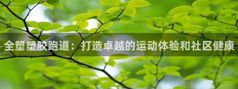 尊龙凯时网站登录：全塑塑胶跑道：打造卓越的运动体验和社区健康