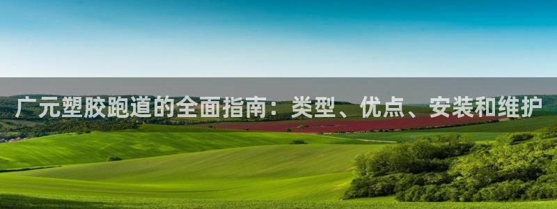 尊龙,人生就是搏：广元塑胶跑道的全面指南：类型、优点、安装和维护