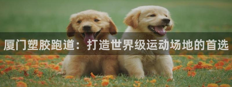 尊龙凯时平台信誉怎样：厦门塑胶跑道：打造世界级运动场