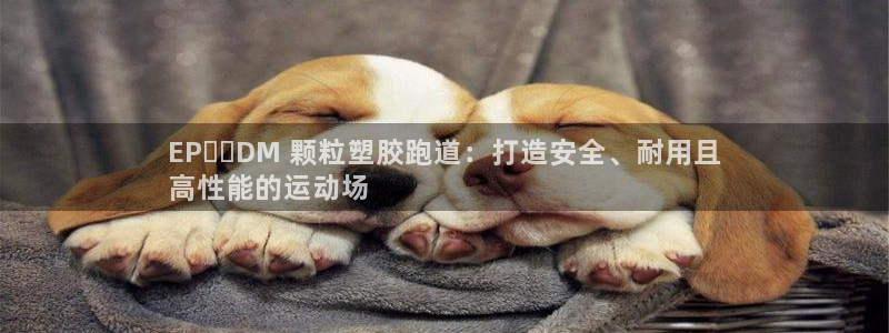 尊龙人生就是博d88 - Z6尊龙官方网站：EP​​DM 颗粒塑胶跑道：打造安全、耐用且
高性能的运动场